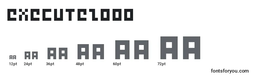 Execute2000 Font Sizes