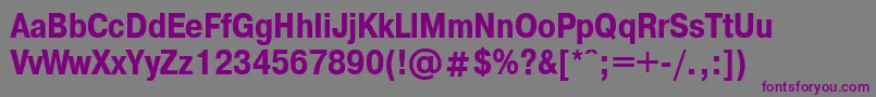PragmaticacondttBold Font – Purple Fonts on Gray Background