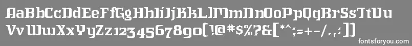 Intruder Font – White Fonts on Gray Background