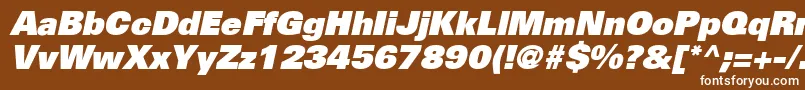 NovaBlackSsiBlackItalic Font – White Fonts on Brown Background