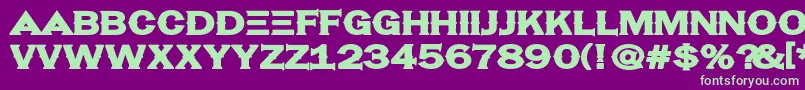 Hassified Font – Green Fonts on Purple Background