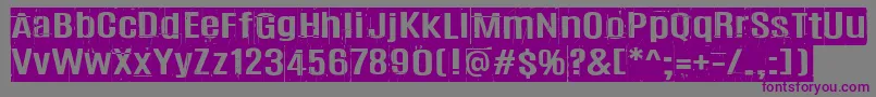 Czcionka Trashbox – fioletowe czcionki na szarym tle