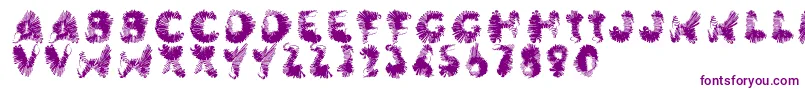 Wingwalker Font – Purple Fonts on White Background