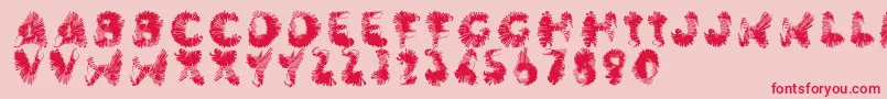 Wingwalker Font – Red Fonts on Pink Background