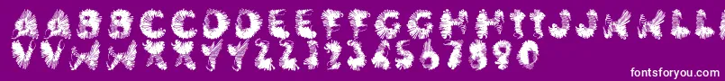 Wingwalker-Schriftart – Weiße Schriften auf violettem Hintergrund