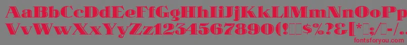 SpotlightLetPlain.1.0 Font – Red Fonts on Gray Background