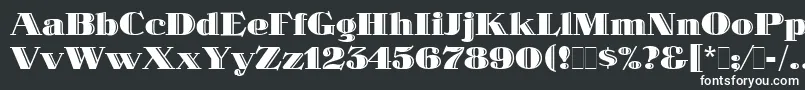 SpotlightLetPlain.1.0 Font – White Fonts on Black Background