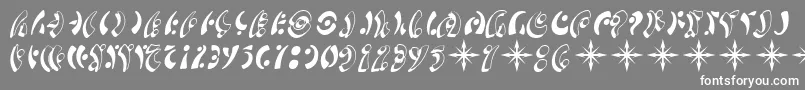 フォントSfFedoraSymbols – 灰色の背景に白い文字