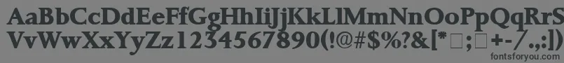 Шрифт ProrenataDisplaySsi – чёрные шрифты на сером фоне