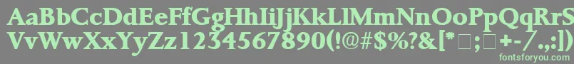 ProrenataDisplaySsi Font – Green Fonts on Gray Background