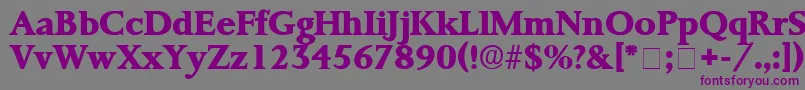 フォントProrenataDisplaySsi – 紫色のフォント、灰色の背景