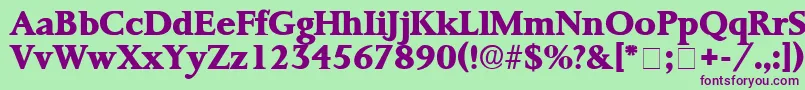 ProrenataDisplaySsi Font – Purple Fonts on Green Background