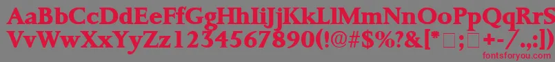 Шрифт ProrenataDisplaySsi – красные шрифты на сером фоне