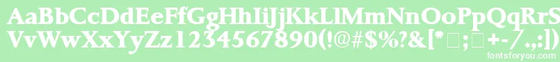 フォントProrenataDisplaySsi – 緑の背景に白い文字