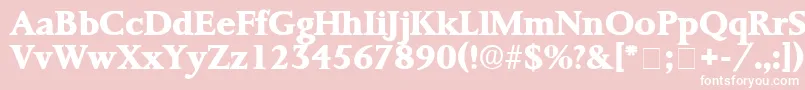 ProrenataDisplaySsi Font – White Fonts on Pink Background