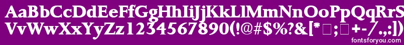 ProrenataDisplaySsi Font – White Fonts on Purple Background