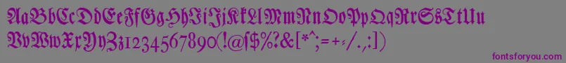 Шрифт Chursaechsischefrakturunz1 – фиолетовые шрифты на сером фоне