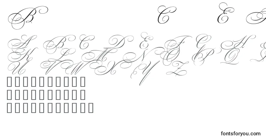 Schriftart BeautifulCapsEsSwashCapitals – Alphabet, Zahlen, spezielle Symbole