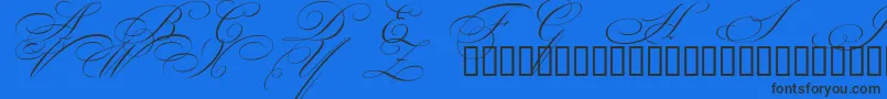 BeautifulCapsEsSwashCapitals Font – Black Fonts on Blue Background