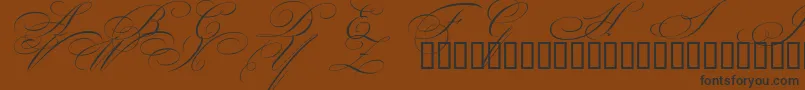 Police BeautifulCapsEsSwashCapitals – polices noires sur fond brun