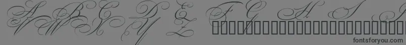 BeautifulCapsEsSwashCapitals Font – Black Fonts on Gray Background