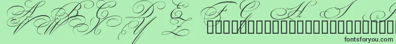 Czcionka BeautifulCapsEsSwashCapitals – czarne czcionki na zielonym tle