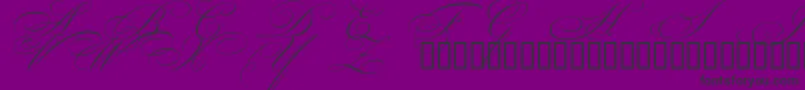 BeautifulCapsEsSwashCapitals Font – Black Fonts on Purple Background