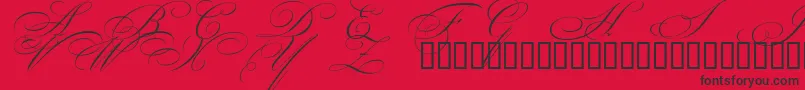 フォントBeautifulCapsEsSwashCapitals – 赤い背景に黒い文字