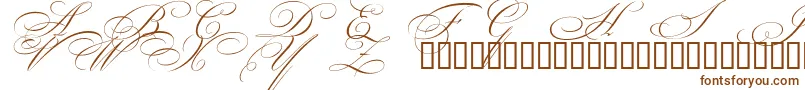 Шрифт BeautifulCapsEsSwashCapitals – коричневые шрифты на белом фоне
