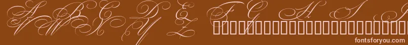 BeautifulCapsEsSwashCapitals Font – Pink Fonts on Brown Background