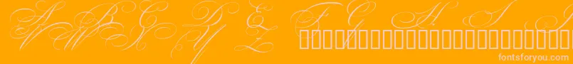 BeautifulCapsEsSwashCapitals-Schriftart – Rosa Schriften auf orangefarbenem Hintergrund