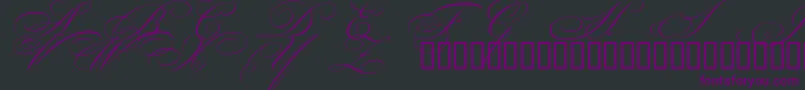 BeautifulCapsEsSwashCapitals Font – Purple Fonts on Black Background