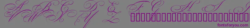 Шрифт BeautifulCapsEsSwashCapitals – фиолетовые шрифты на сером фоне