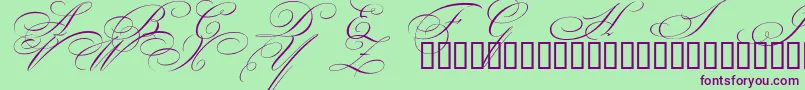 Шрифт BeautifulCapsEsSwashCapitals – фиолетовые шрифты на зелёном фоне