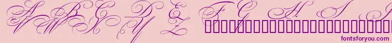 BeautifulCapsEsSwashCapitals Font – Purple Fonts on Pink Background