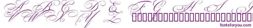 BeautifulCapsEsSwashCapitals Font – Purple Fonts