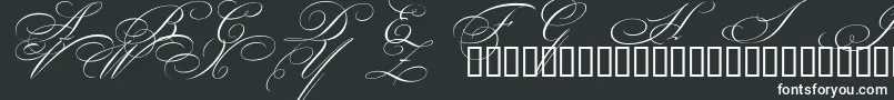 Шрифт BeautifulCapsEsSwashCapitals – белые шрифты