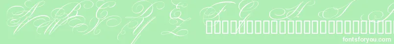 フォントBeautifulCapsEsSwashCapitals – 緑の背景に白い文字