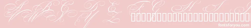 BeautifulCapsEsSwashCapitals-Schriftart – Weiße Schriften auf rosa Hintergrund