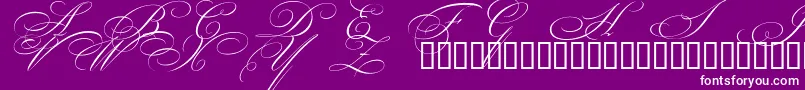 BeautifulCapsEsSwashCapitals-Schriftart – Weiße Schriften auf violettem Hintergrund