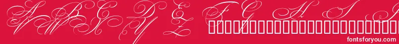 BeautifulCapsEsSwashCapitals Font – White Fonts on Red Background