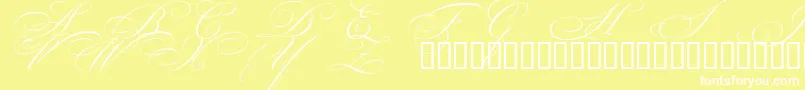 BeautifulCapsEsSwashCapitals Font – White Fonts on Yellow Background