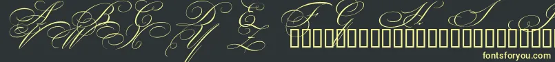 BeautifulCapsEsSwashCapitals Font – Yellow Fonts on Black Background
