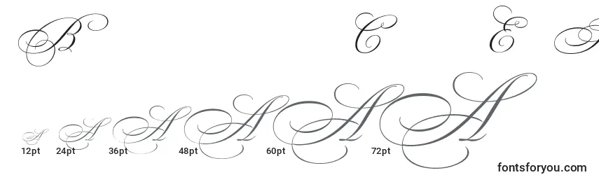BeautifulCapsEsSwashCapitals Font Sizes