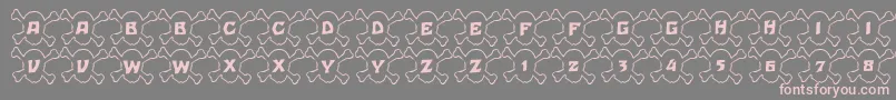 フォント101SkullBonez – 灰色の背景にピンクのフォント