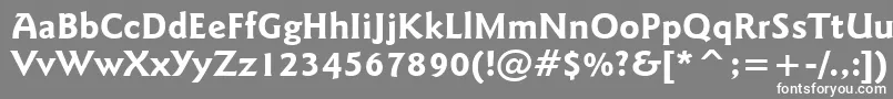 フォントGoudySansBoldBt – 灰色の背景に白い文字