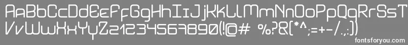 AviddynBold Font – White Fonts on Gray Background
