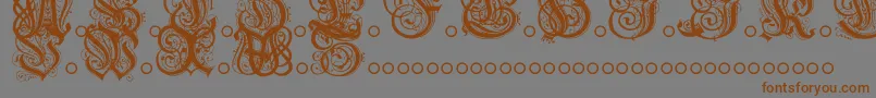 HentzauInitials Font – Brown Fonts on Gray Background