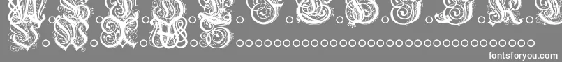 HentzauInitials Font – White Fonts on Gray Background