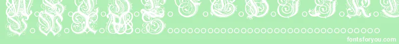 HentzauInitials Font – White Fonts on Green Background